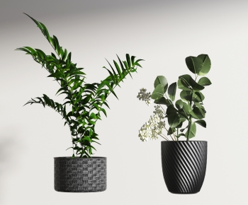 Modern Potted Green Plant-ID:461100101