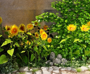 现代庭院植物景观向日葵鹅卵石石头-ID:120683916
