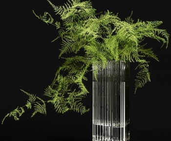 現代水生植物，花瓶-ID:1314490