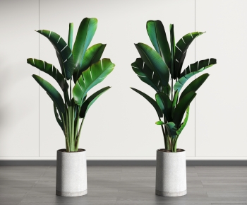 Modern Potted Green Plant-ID:763593913