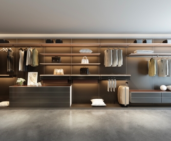 Modern Clothes Storage Area-ID:318703895