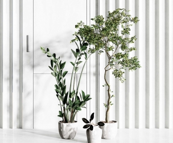 Modern Potted Green Plant-ID:875531917