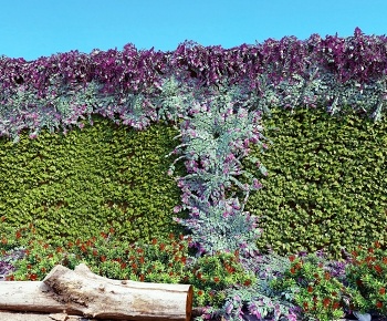 现代植物墙绿植墙植物堆-ID:1324766