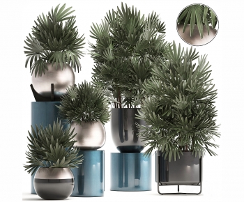 Modern Potted Green Plant-ID:557517055