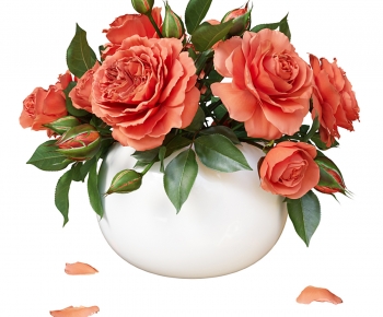 现代玫瑰花瓶-ID:565715072