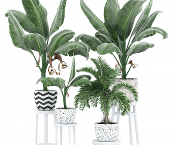 Modern Potted Green Plant-ID:994535928