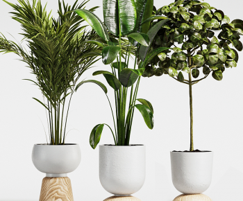 Modern Potted Green Plant-ID:747855904