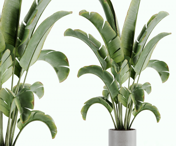 Modern Potted Green Plant-ID:692734007