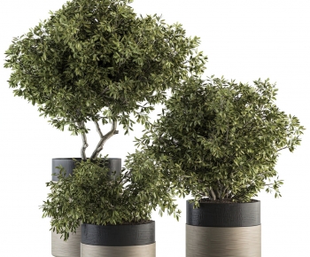 Modern Potted Green Plant-ID:489025121