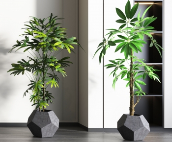 Modern Potted Green Plant-ID:449860145