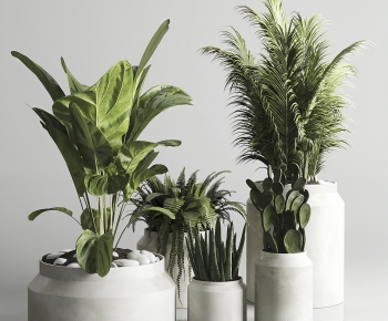 Modern Potted Green Plant-ID:196058993