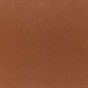 ModernFine Grain Leather