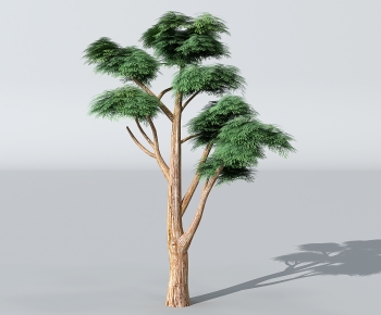 Modern Tree-ID:647336964