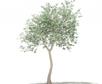 Modern Tree-ID:758465054