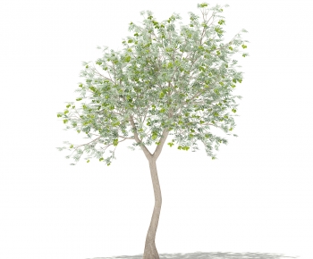 Modern Tree-ID:466322907