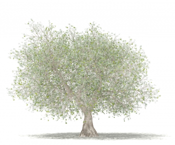 Modern Tree-ID:511321075