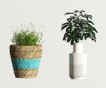 Modern Potted Green Plant-ID:303831189