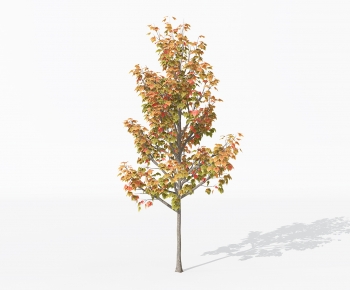 Modern Tree-ID:841725111