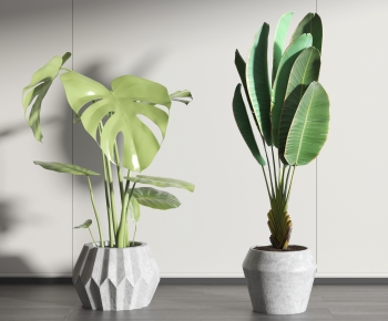 Modern Potted Green Plant-ID:731173048