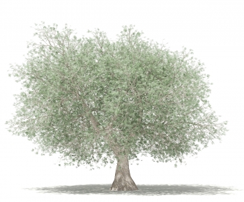 Modern Tree-ID:751373055