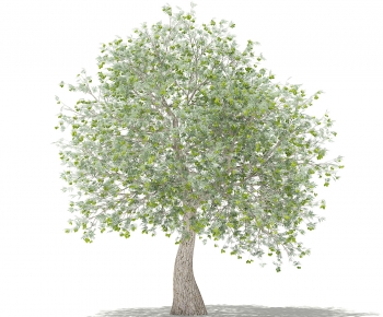 Modern Tree-ID:759999045