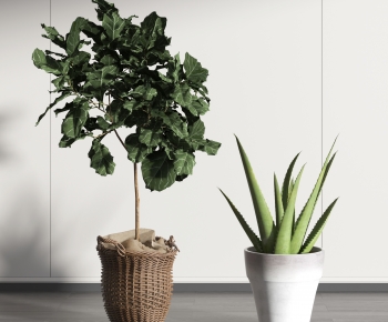 Modern Potted Green Plant-ID:958583129