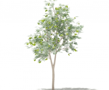 Modern Tree-ID:328478108