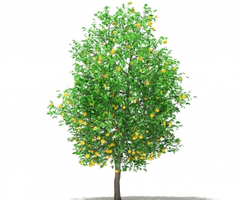 Modern Tree-ID:566853058