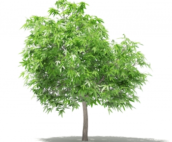 Modern Tree-ID:321302898