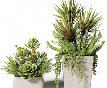 Modern Potted Green Plant-ID:224057914
