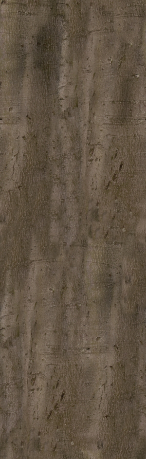 高清树皮树干贴图-ID:5325228