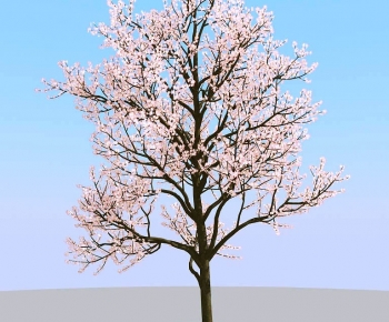 Modern Tree-ID:964178091