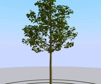 Modern Tree-ID:599610826