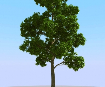 Modern Tree-ID:643661985