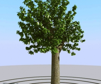 Modern Tree-ID:279953006