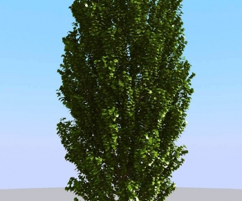 Modern Tree-ID:975197081