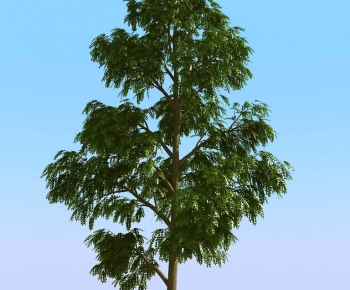 Modern Tree-ID:145423893