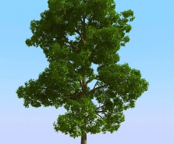 Modern Tree-ID:311626919