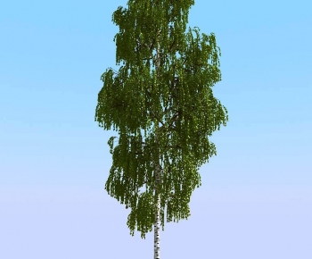 Modern Tree-ID:470399999