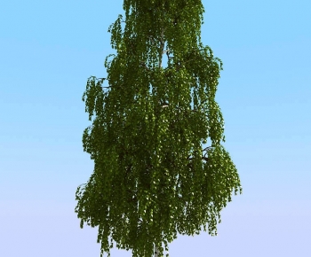 Modern Tree-ID:774486069