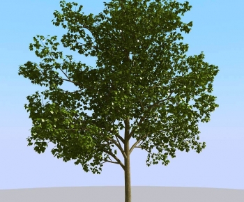 Modern Tree-ID:983155017