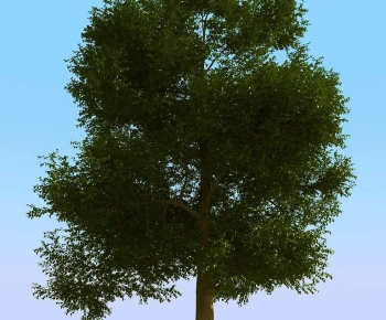 Modern Tree-ID:535525089