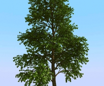 Modern Tree-ID:190773964