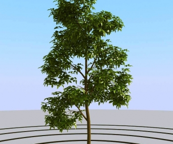 Modern Tree-ID:674644958