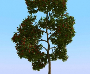 Modern Tree-ID:102880008