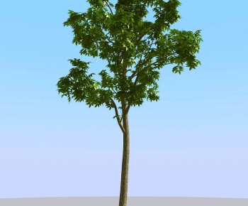 Modern Tree-ID:974411012