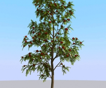 Modern Tree-ID:892812012