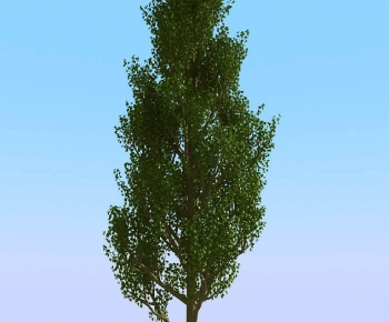 Modern Tree-ID:340362073