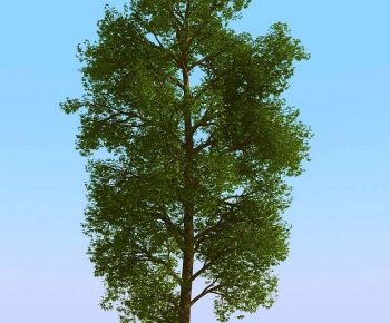 Modern Tree-ID:833152069