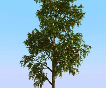 Modern Tree-ID:682485104